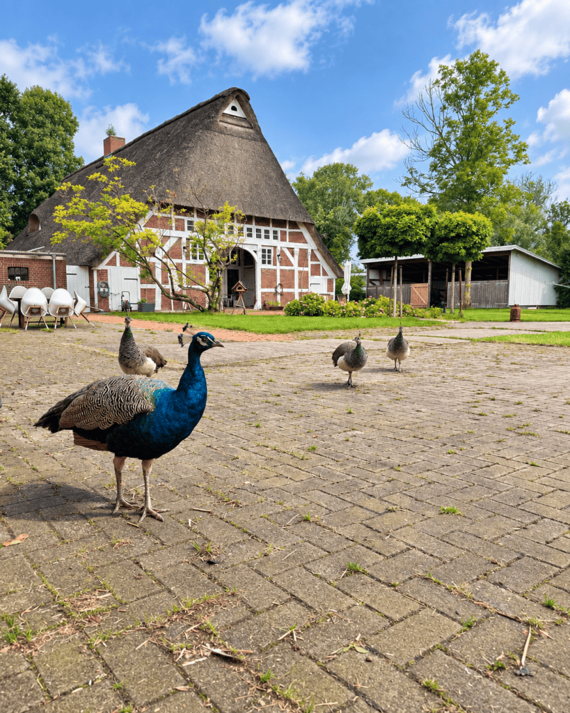 Besuch aus der Nachbarschaft