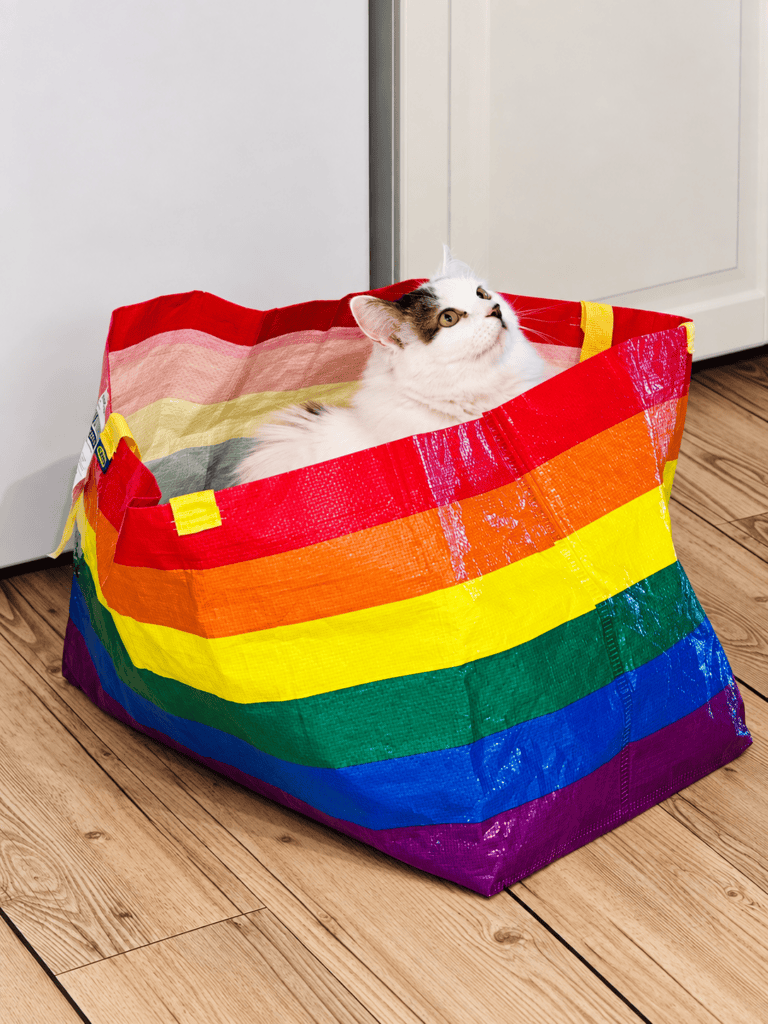 Kater in einer bunten Tasche